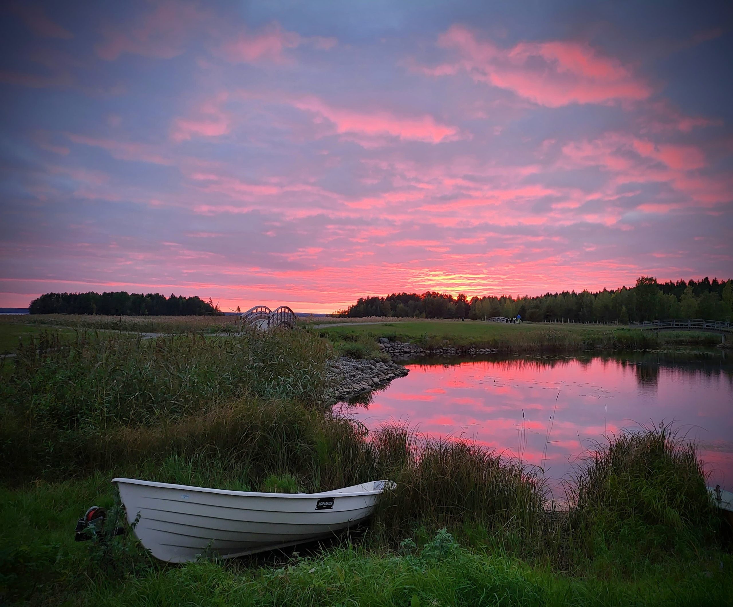 Read more about the article Seksitautien tutkimuspaketti, suppea