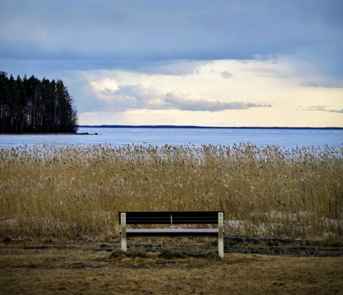 You are currently viewing Allergiapaketti